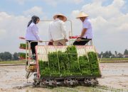 Deli Serdang Jadi Kabupaten Pertama di Sumut Gunakan Drone Pertanian, Bupati: Bukti Transformasi Menuju Pertanian Modern
