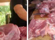 Pemko Medan Tegaskan Tak Larang Penjualan Daging Nonhalal, Hanya Penataan Lokasi dan Limbah