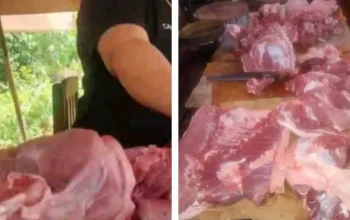 Pemko Medan Tegaskan Tak Larang Penjualan Daging Nonhalal, Hanya Penataan Lokasi dan Limbah