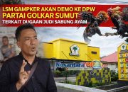 LSM GAMPKER Akan Gelar Aksi ke DPW Partai Golkar Sumut, Soroti Dugaan Judi Sabung Ayam